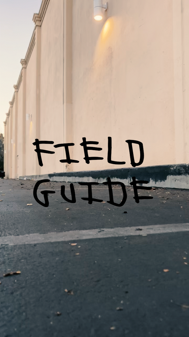 Field Study: An Anthropological Dig into Your Favorite Skate Spots